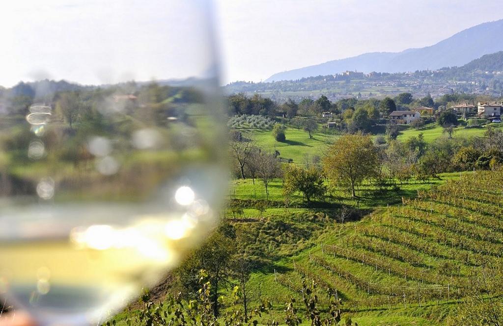 Wine Hotel San Giacomo Activity & Wellness Paderno del Grappa Kültér fotó