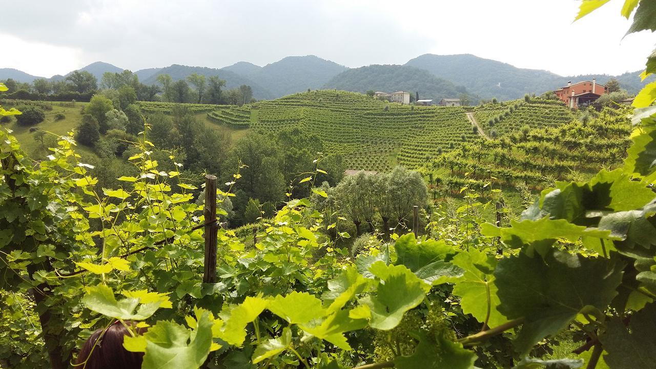 Wine Hotel San Giacomo Activity & Wellness Paderno del Grappa Kültér fotó